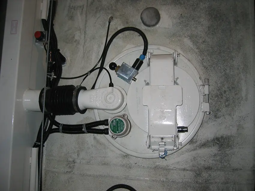 Selagem Electrónica 2